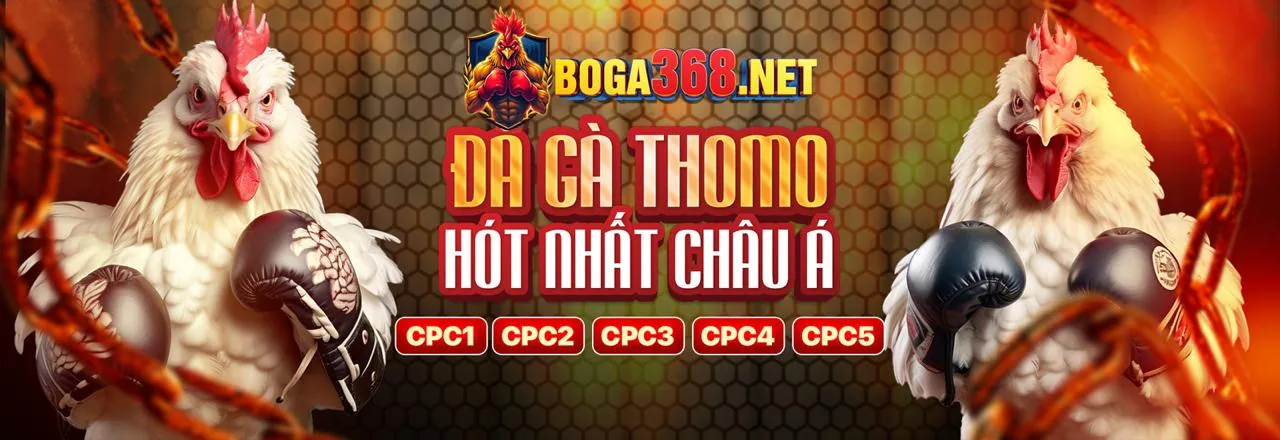 Bộ sưu tập các trò chơi giải trí đa dạng tại alo789s